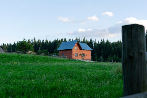 Casa nella foresta. La vita nella foresta