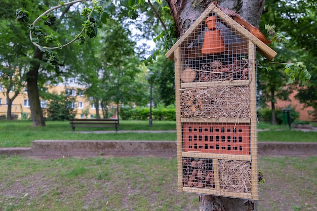 Casa per insetti utili, un metodo ecologico per la disinfestazione delle api per attirare insetti locali