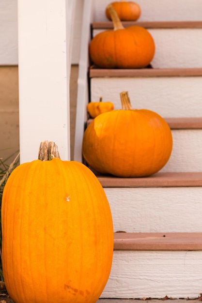 Casa residenziale decorata per le vacanze di Halloween.