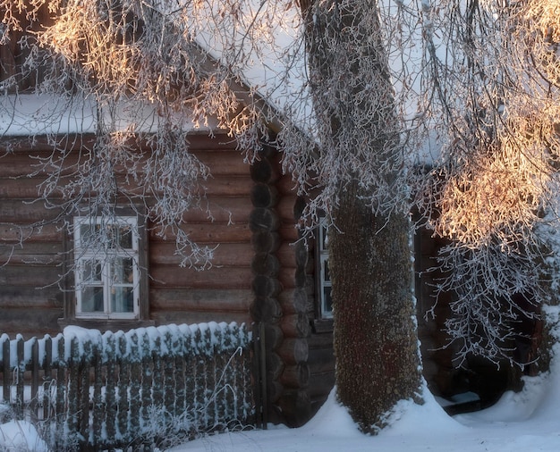 Casa rurale invernale in villaggio e alberi in neve e sole