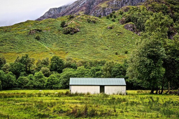 Casa sul campo erboso contro la montagna