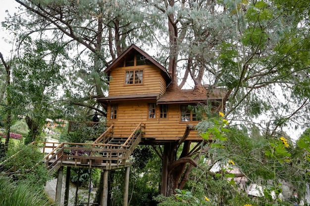 Casa sull'albero in legno in cima alle montagne bellissima con lo sfondo della natura