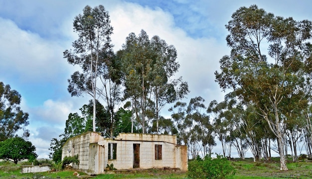 Casa sull&#39;albero