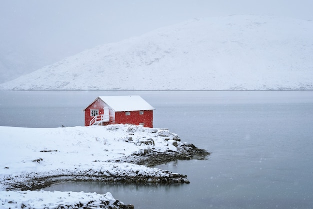 Casa tradizionale rossa rorbu sulla riva del fiordo con forti nevicate in inverno. Isole Lofoten, Norvegia