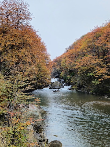 Cascada en paisaje in autunno