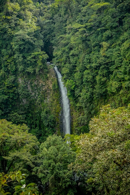 Cascata a San Carlos, Costa Rica.