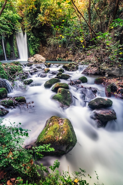 Cascata Banias paesaggio