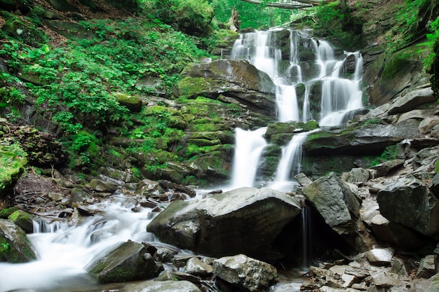 Cascata bellissima foresta