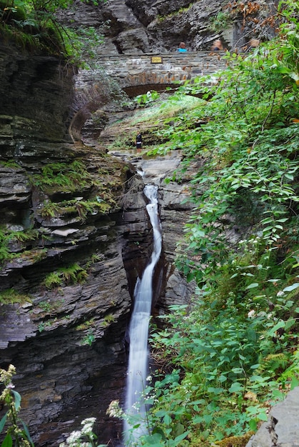 Cascata con ponte in bosco