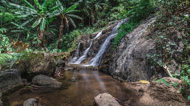 Cascata Con Scenario Naturale