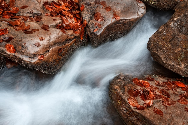 Cascata d'acqua