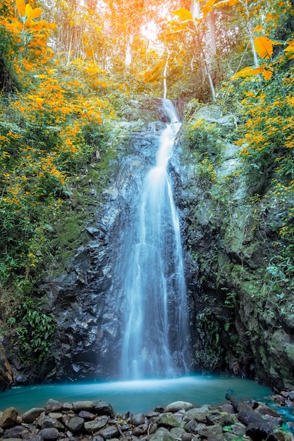 Cascata d&#39;autunno