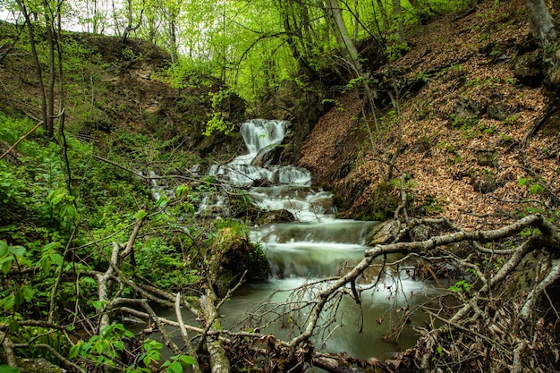 Cascata del fiume nella foresta