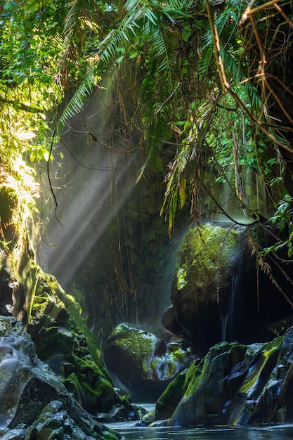 Cascata del tunnel di pietra indonesiana nella foresta tropicale