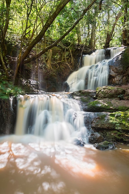 Cascata della foresta di Karura a Nairobi Kenya