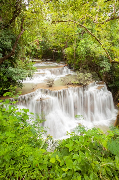 Cascata della foresta pluviale tropicale