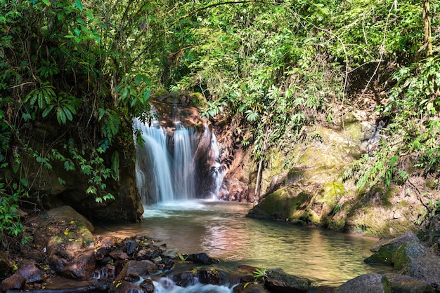 Cascata di El tirol nella giungla di chanchamayo in Perù