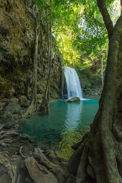 Cascata di Erawan con pesci in acqua