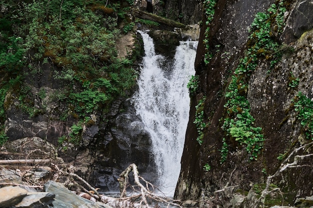 Cascata di Estyube al lago teletskoye nelle montagne di altai