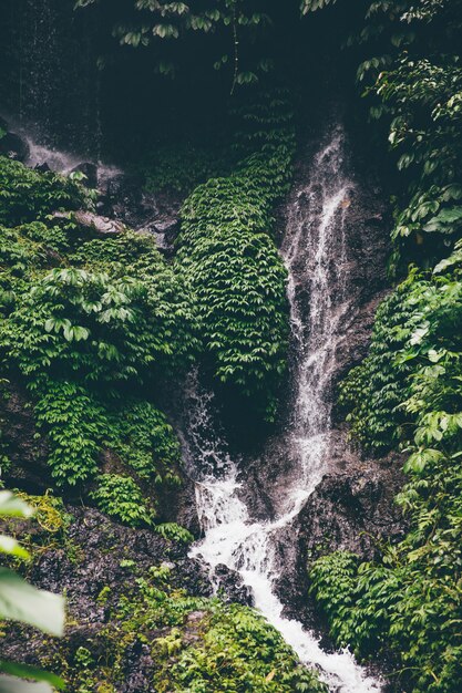 Cascata di Gitgit a Bali, Indonesia