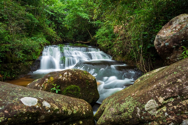 Cascata di Kang Han Nam nel paesaggio tropicale della foresta pluviale al parco nazionale di Phuhinrongkla Nak