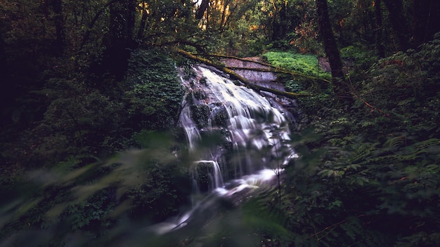 Cascata di Lan Sadet, la piccola cascata nel sentiero Doi Inthanon Chiang Mai Thailand di Kiw Mae Pan Natural