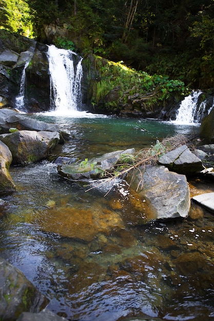 Cascata di montagna nel canyon roccioso circondato da foresta verde, paesaggio estivo di natura fresca e fresca. Carpazi