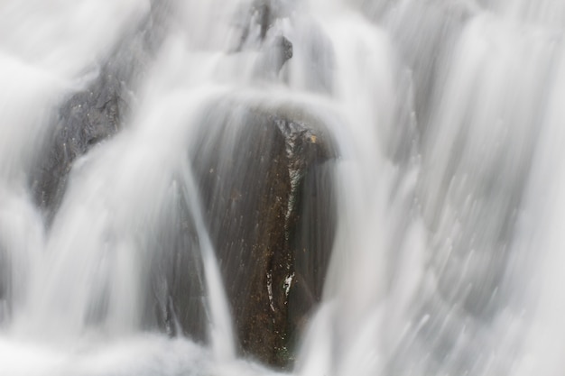 Cascata di natura nella foresta profonda