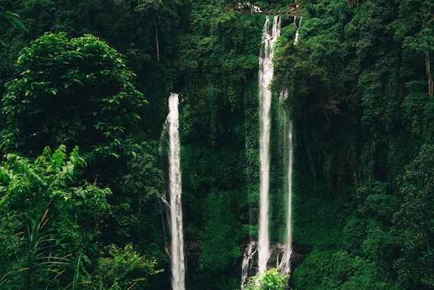 Cascata di Sekumpul a Bali circondata dalla foresta tropicale