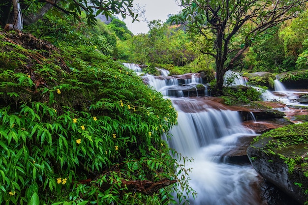 Cascata di Tad-Wiman-Thip, bella cascata in ThaiLand.