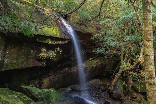 Cascata di Thamyai sulla montagna di Phu Kradueng in estate e meno di acquaPhu Kradueng mountain national park la famosa destinazione di viaggio