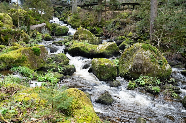 Cascata di Triberg Foresta Nera cascata più alta Germania fiume Gutach precipita su sette grandi gradini