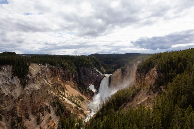 Cascata e alberi nel paesaggio americano Grand Canyon di Yellowstone