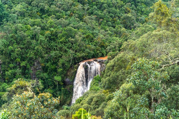 Cascata e foresta pluviale Aiuruoca Minas Gerais Brasile Cascata dos Garcia