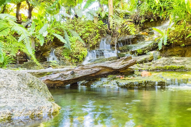 Cascata in giardino tropicale durante la stagione primaverile. bellissimo paesaggio con bellissime piante