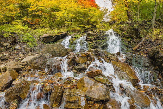 Cascata in montagna, paesaggio autunnale