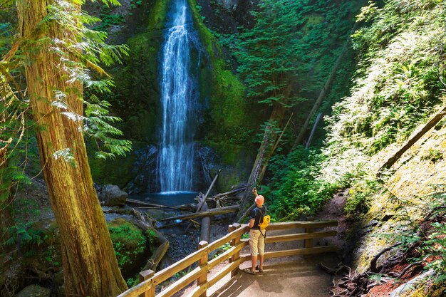 Cascata in Olympic NP,USA