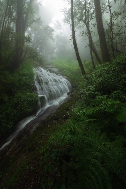 Cascata La cascata di Kio Mae Pan si trova nella provincia di Chiang Mai in Thailandia