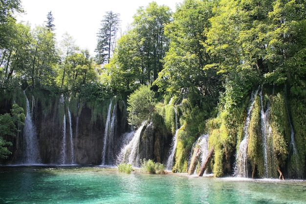 Cascata, laghi di Plitvice, Croazia, Europa. Stagni e cascate nel verde della vegetazione