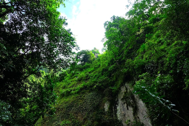 Cascata Madakaripura