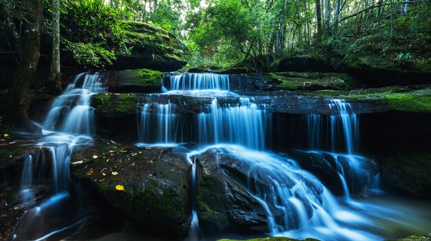 Cascata mozzafiato verde nella foresta profonda