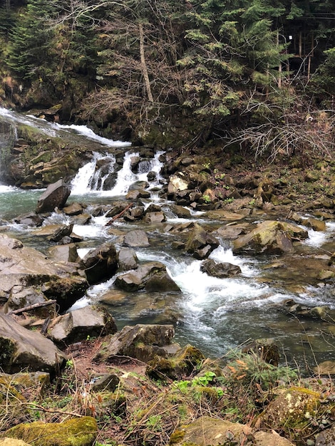 Cascata Natura Kamyanets Lviv