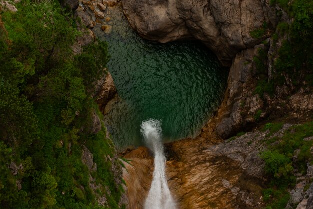 Cascata naturale nella foresta