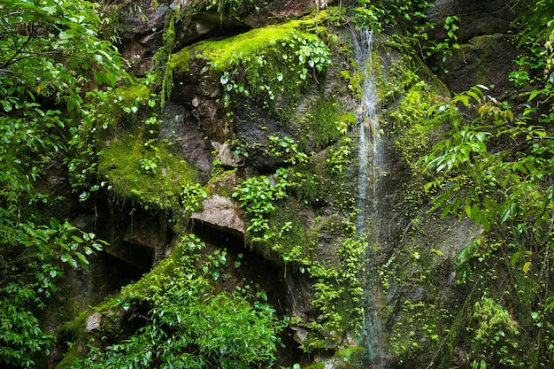 Cascata naturale