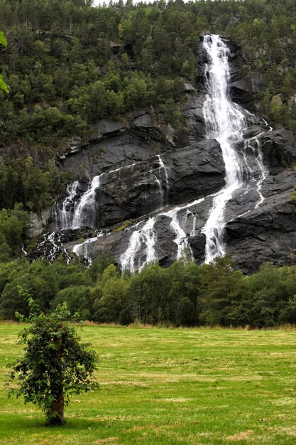 Cascata nel bosco, Norvegia