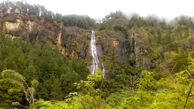 Cascata nel bosco