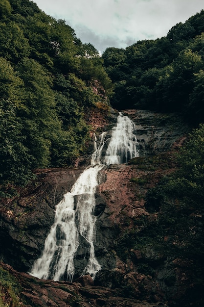 Cascata nel bosco