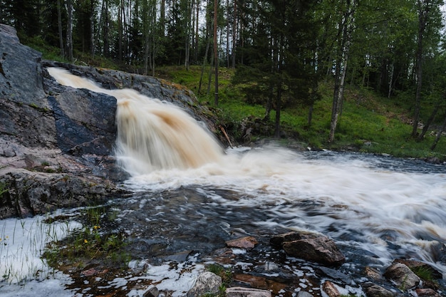 Cascata nel fiume con pietre nella foresta in estate