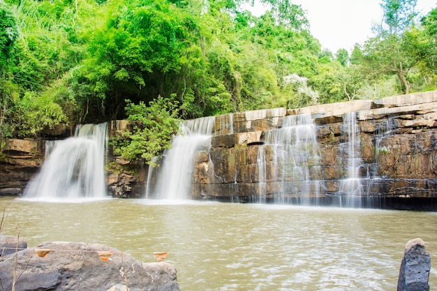 cascata nel paesaggio della foresta e fiume a Khaokho Tailandia