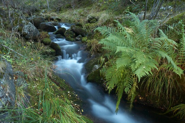 Cascata nel Parco Nazionale di Guadarrama